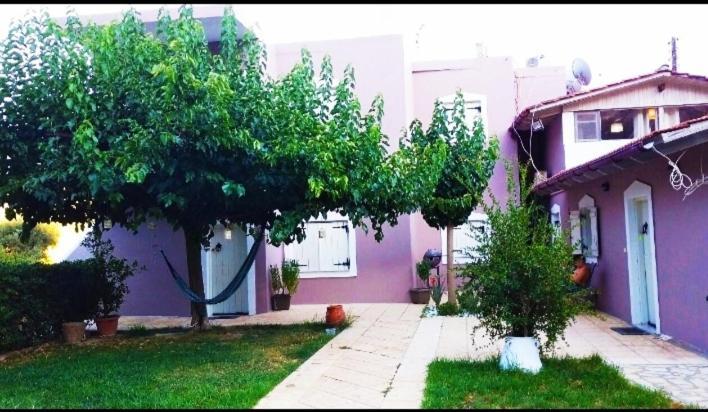 "Villa Kanavos" Apts Матала Екстер'єр фото